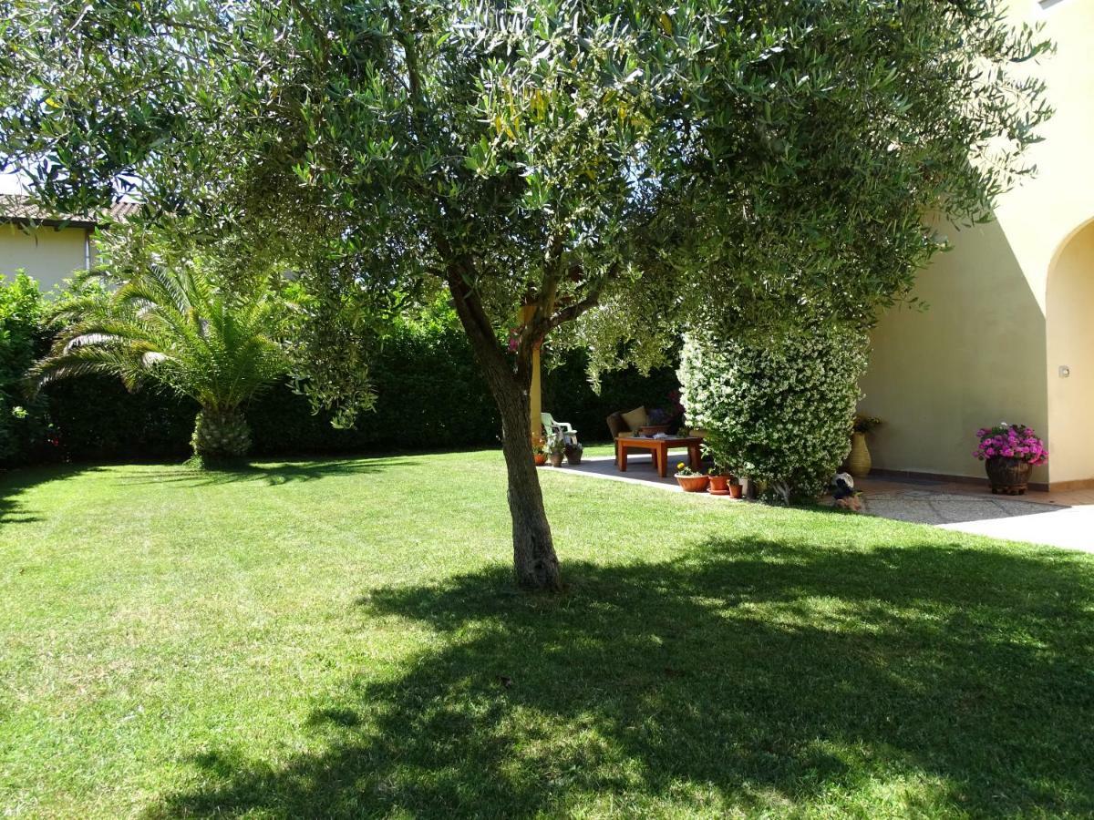B&B La Dolce Vita Marsiliana Esterno foto